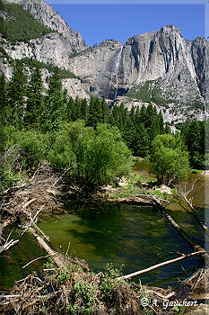 Blick auf Yosemite Falls